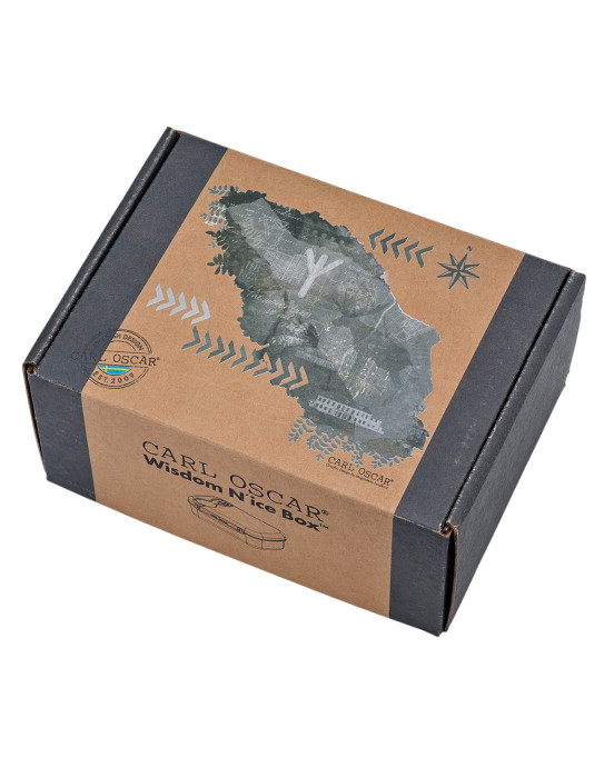 CARL OSCAR. Φαγητοδοχείο με παγοκύστη Wisdom N'ice Box Δύναμη - Γκρι