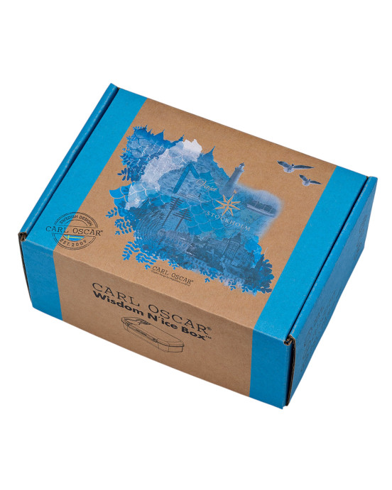 CARL OSCAR. Φαγητοδοχείο με παγοκύστη Wisdom N'ice Box Νερό - Τιρκουάζ
