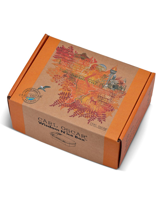 CARL OSCAR. Φαγητοδοχείο με παγοκύστη Wisdom N'ice Box Φωτιά - Πορτοκαλί