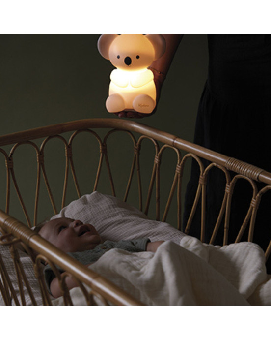 PETIT SONGE. Φως νυχτός Κοάλα