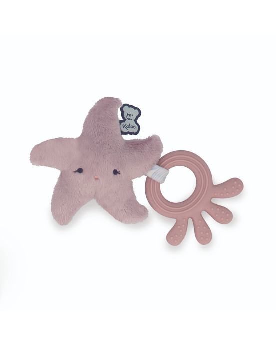 PETIT CALME. Μασητικό Αστερίας