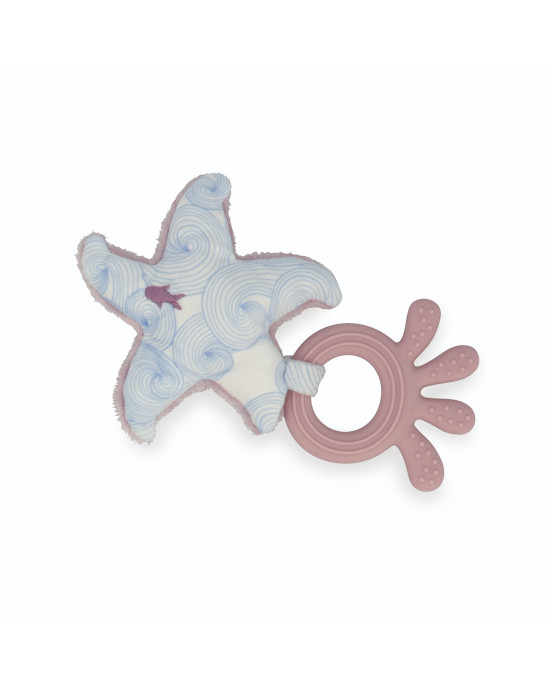 PETIT CALME. Μασητικό Αστερίας