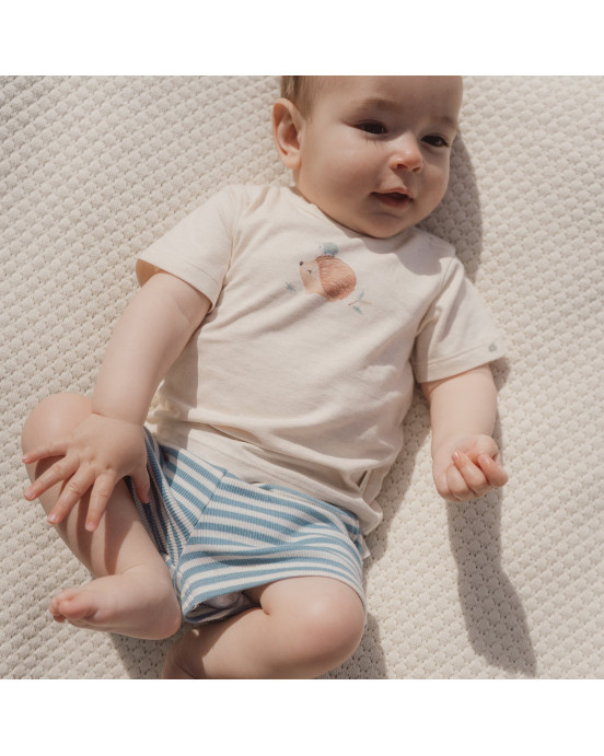 LITTLE DUTCH. Παντελονάκι κοντό μπλε Stone Blue stripe - Νο 50