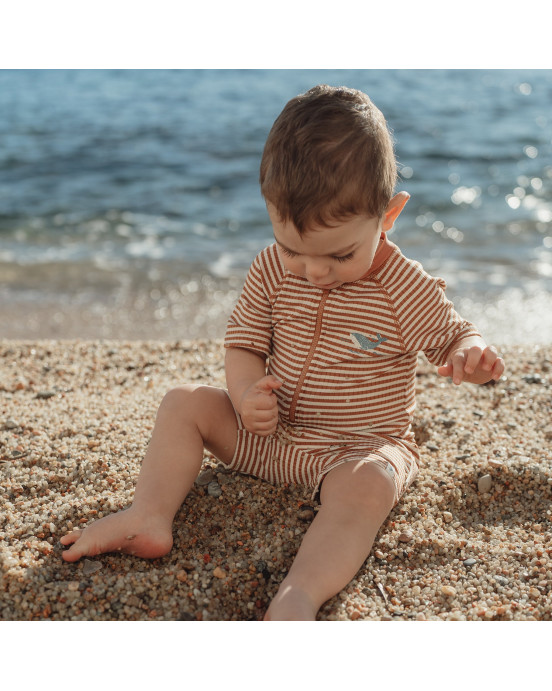 LITTLE DUTCH. Ολόσωμο κοντομάνικο μαγιό Ocean Brown Stripes - Νο 86/92