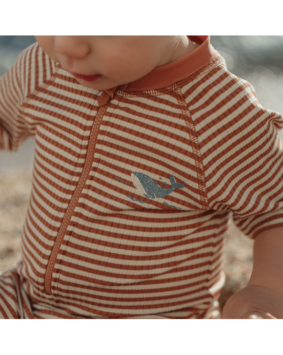 LITTLE DUTCH. Ολόσωμο κοντομάνικο μαγιό Ocean Brown Stripes - Νο 86/92