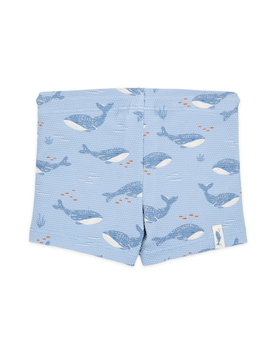 LITTLE DUTCH. Παιδικό μαγιό για αγόρια Ocean Splash - Νο 62/68