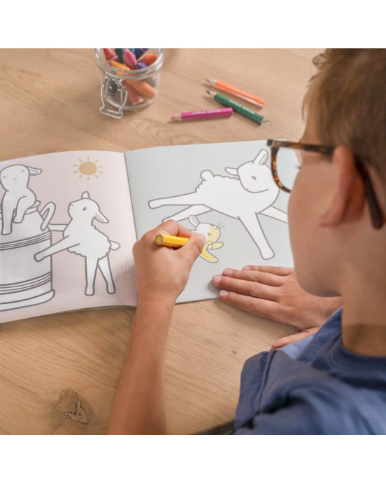 LITTLE DUTCH. Βιβλίο ζωγραφικής Little Farm