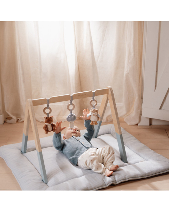 LITTLE DUTCH. Βρεφικό γυμναστήριο Forest Friends FSC