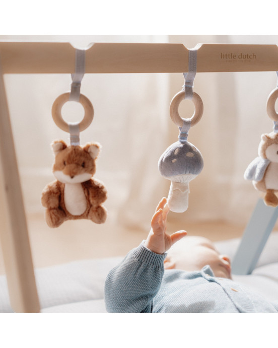 LITTLE DUTCH. Βρεφικό γυμναστήριο Forest Friends FSC