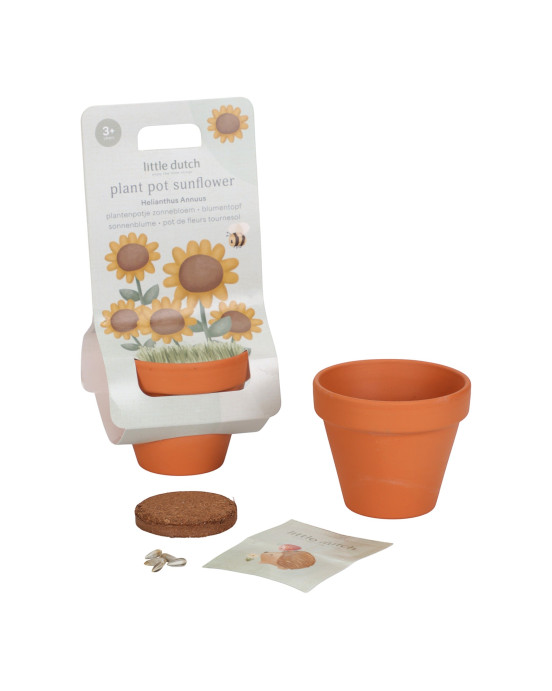 LITTLE DUTCH. Γλαστράκι με Ηλίανθους