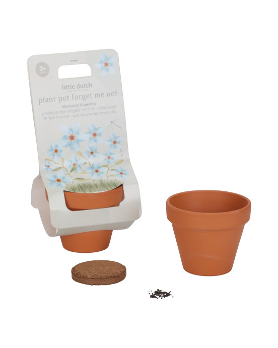 LITTLE DUTCH. Γλαστράκι με φυτό Μη με Λησμόνει