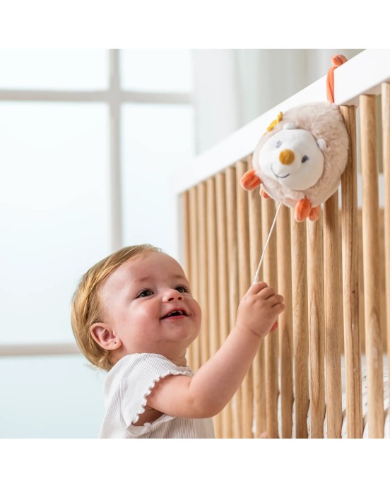 MILA, ZOE & LANA. Μουσικό σκατζοχοιράκι μίνι Zoe