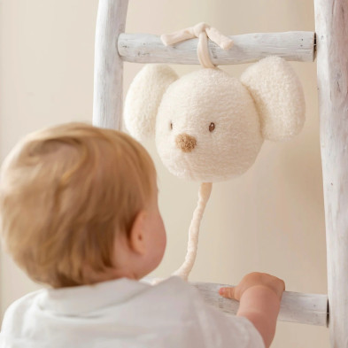 TEDDY. Μουσικό ποντικάκι