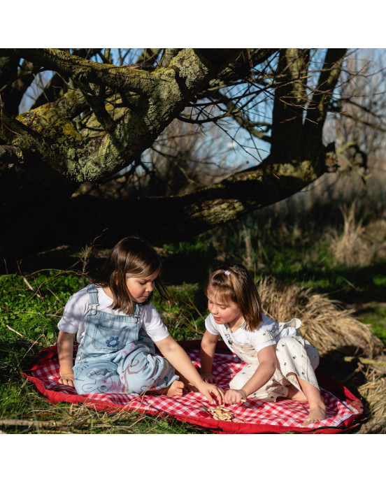 PLAY&GO. Χαλάκι παιχνιδιού - τσάντα 2 σε 1. Outdoor Pic Nic